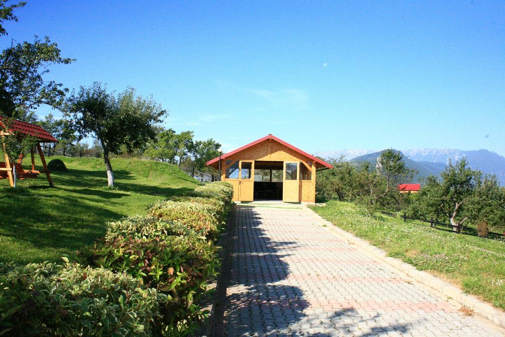 Hotel Sofia Bran  Exterior foto