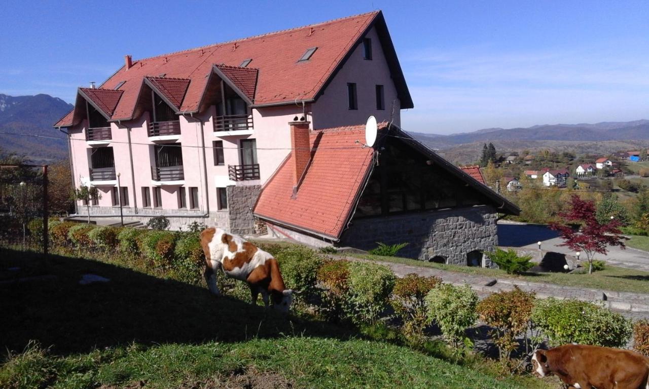 Hotel Sofia Bran  Exterior foto